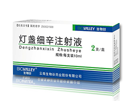 燈盞細(xì)辛注射液